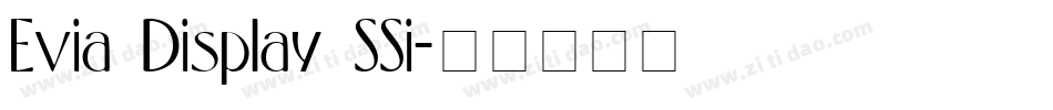 Evia Display SSi字体转换